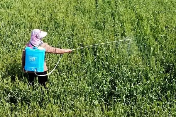 甲基硫菌灵的作用相关情况介绍(甲基硫菌灵的作用，对叶螨和病原线虫有抑制作用)？插图3