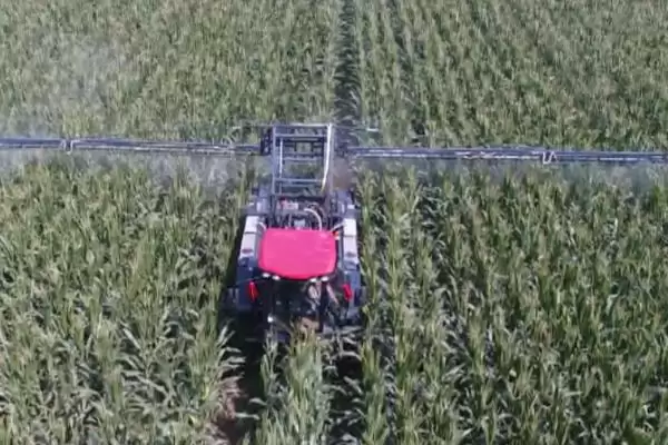 甲基硫菌灵的作用相关情况介绍(甲基硫菌灵的作用，对叶螨和病原线虫有抑制作用)？插图2