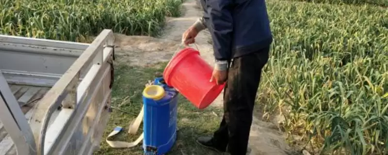 秋大蒜病虫草害防治技术介绍(秋大蒜不同病虫草害防治方法不同)？-会东网