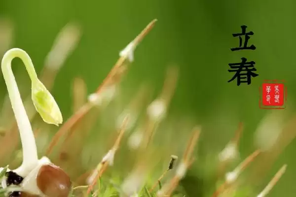 二十四节气的起源相关地区(二十四节气的起源，黄河流域是起源地)？插图2