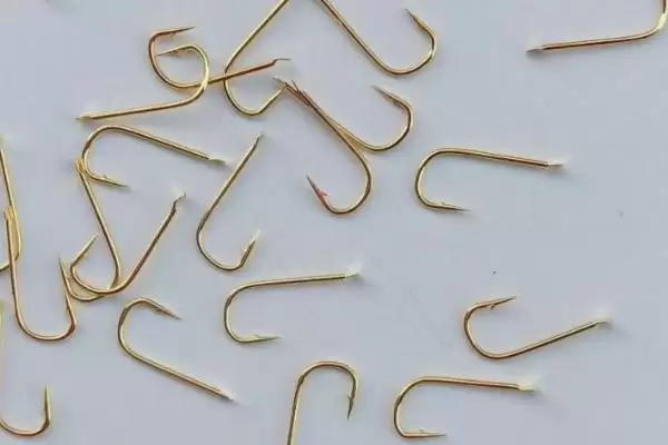 金袖鱼钩的常见程度相关情况(金袖鱼钩,是最常用的一种袖钩)?插图1 金袖鱼钩的常见程度相关情况(金袖鱼钩,是最常用的一种袖钩)?插图1