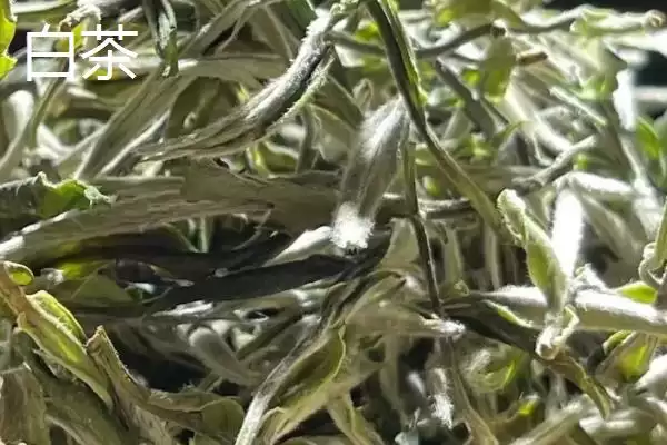 江苏名茶推荐相关品牌情况(江苏名茶推荐，介绍排行榜前十名)？插图12