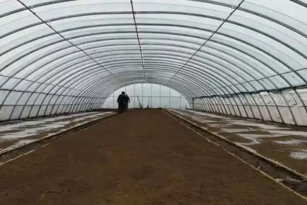 棚室内降低湿度方式介绍(棚室内降低湿度可选用无滴膜等)?插图9 棚室内降低湿度方式介绍(棚室内降低湿度可选用无滴膜等)?插图9