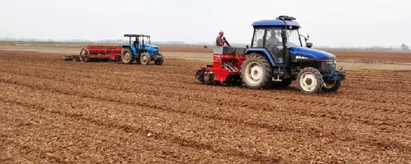 小麦适宜播种量及半冬性品种播种量(小麦适宜播量多少及半冬性品种)?-会东网