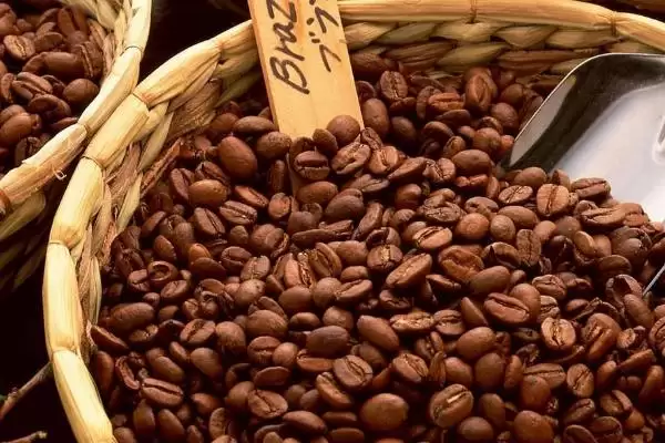 咖啡的原产地相关情况介绍(咖啡的原产地，原产于埃塞俄比亚西南部的高原地区)？插图4