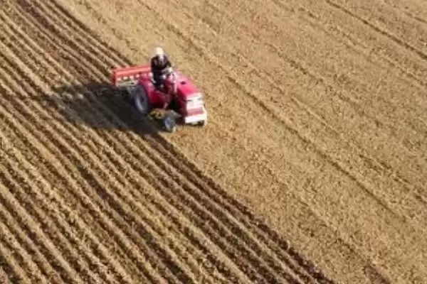 小麦种植时间和方法及气候影响因素(小麦啥时种咋种及气候影响因素)？插图3