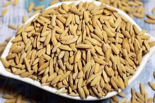 杂交水稻和普通水稻区别及分析(杂交水稻和普通水稻有啥区别及分析)？插图2