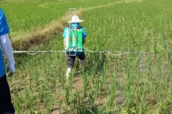 福欣安与青霉素能否一块打(福欣安可以和青霉素一块打吗,福欣安可以和青霉素一块打)?插图2 福欣安与青霉素能否一块打(福欣安可以和青霉素一块打吗,福欣安可以和青霉素一块打)?插图2