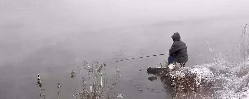 冬天用蚯蚓和商品饵的对比(冬天是用蚯蚓好还是商品饵好,二者各有优势)?-会东网