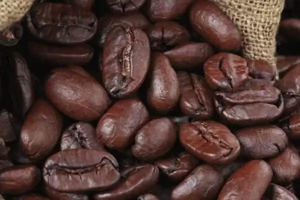 咖啡的原产地相关情况介绍(咖啡的原产地，原产于埃塞俄比亚西南部的高原地区)？插图3