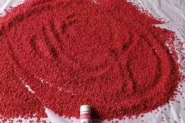 小麦叶枯病发病规律及4-5月发病情况(小麦叶枯病发病规律及发病时间)?插图8 小麦叶枯病发病规律及4-5月发病情况(小麦叶枯病发病规律及发病时间)?插图8