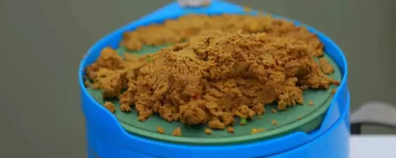 十个有名鱼饵料品牌介绍(十个有名鱼饵料品牌更靠谱)?-会东网