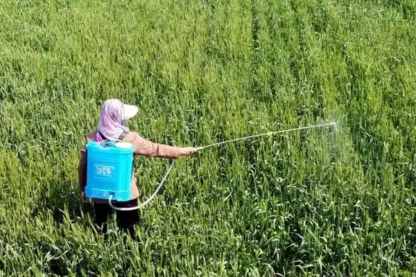 福欣安与青霉素能否一块打(福欣安可以和青霉素一块打吗,福欣安可以和青霉素一块打)?插图1 福欣安与青霉素能否一块打(福欣安可以和青霉素一块打吗,福欣安可以和青霉素一块打)?插图1