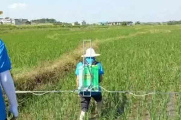 烯草酮使用效果最佳时期及说明(在什么时候用烯草酮效果好及说明)？插图1