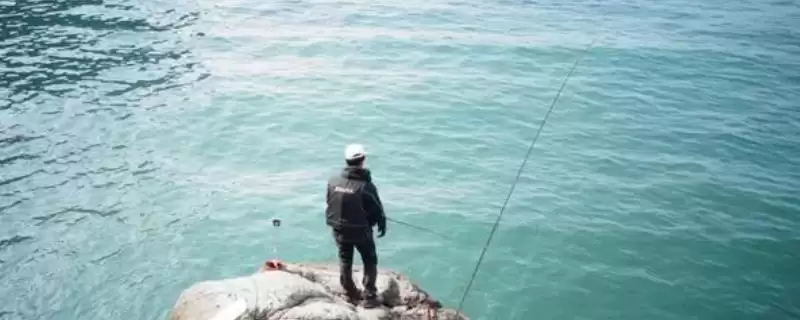 西南风天气钓鱼情况介绍(西南风天气鱼儿活性明显下降)?-会东网