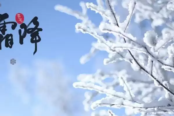 霜降的气候特点(霜降时节气候特点为昼夜温差较大)插图1