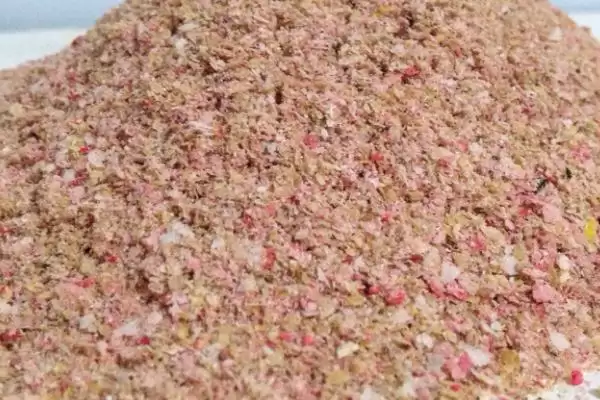 钓黑鱼选动物饵料或自制饵料，哪种效果更好？钓黑鱼的饵料还有哪些选择？插图3