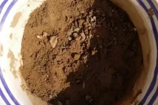 家庭版黄瓜种植,为何一年四季均可播种?有哪些技巧?插图1 家庭版黄瓜种植,为何一年四季均可播种?有哪些技巧?插图1