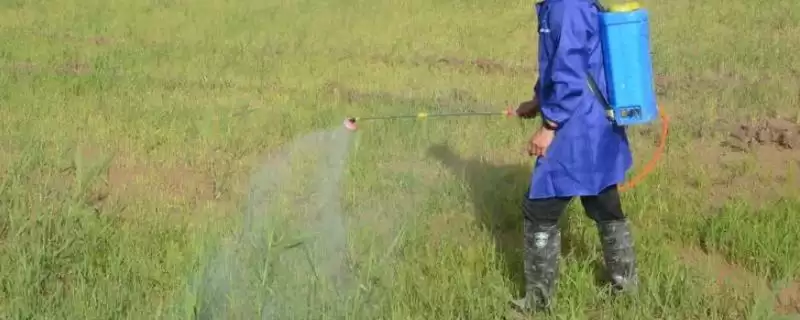 农药不能随便混配或加大用量，这是为什么？防止农药中毒还有哪些方法？-会东网
