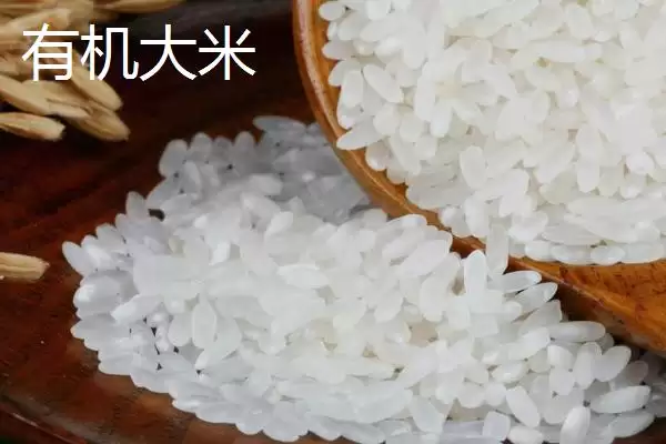 有机大米与绿色大米生产有何区别呢？插图1