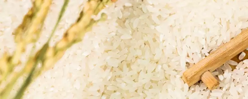 有机大米与绿色大米生产有何区别呢？-会东网