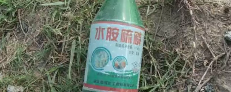 水胺硫磷属于哪类农药(水胺硫磷属于有机磷杀虫杀螨剂类农药)-会东网