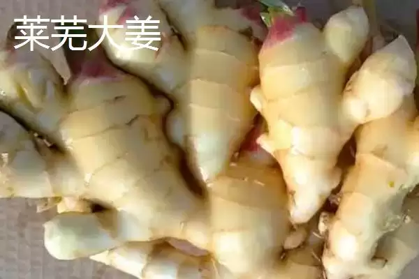 生姜种子的价格(生姜种子的价格一般每斤在5-15元左右)插图3