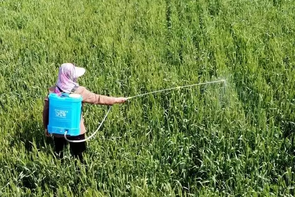 水胺硫磷属于哪类农药(水胺硫磷属于有机磷杀虫杀螨剂类农药)插图3