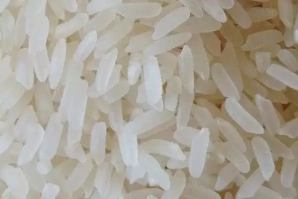 有机大米与绿色大米生产有何区别呢？插图4