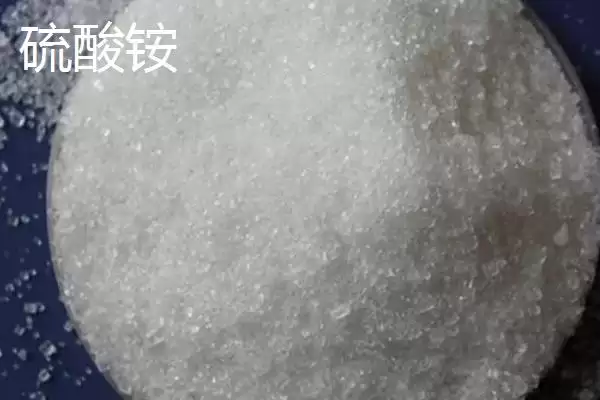 大棚韭菜对肥料需求不高，那应该如何科学施肥以保证产量和品质？大棚韭菜专用肥有哪些特点？插图5