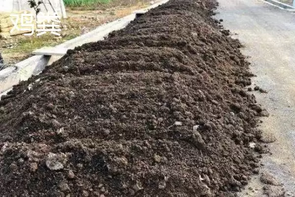 大棚韭菜对肥料需求不高，那应该如何科学施肥以保证产量和品质？大棚韭菜专用肥有哪些特点？插图1