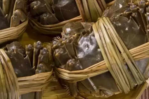 洪湖市大闸蟹品质佳，当地苛刻的水域环境起到了哪些关键作用？插图2