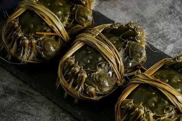 洪湖市大闸蟹品质佳，当地苛刻的水域环境起到了哪些关键作用？插图4