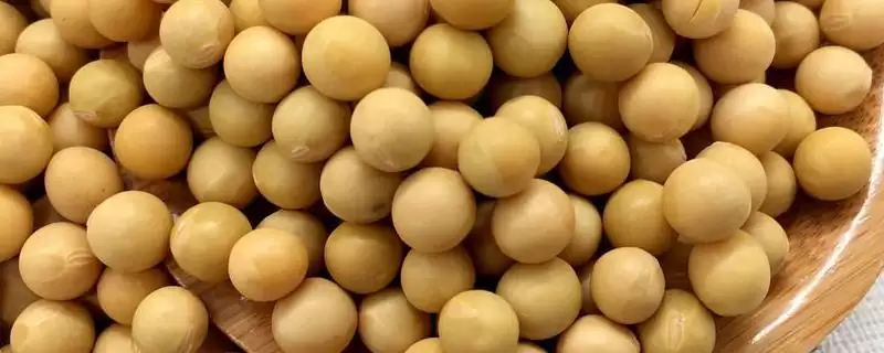 合农139大豆种，中肥力地块适宜的种植数量究竟是多少呢？-会东网