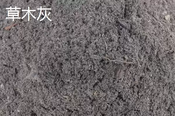 大棚韭菜对肥料需求不高，那应该如何科学施肥以保证产量和品质？大棚韭菜专用肥有哪些特点？插图4