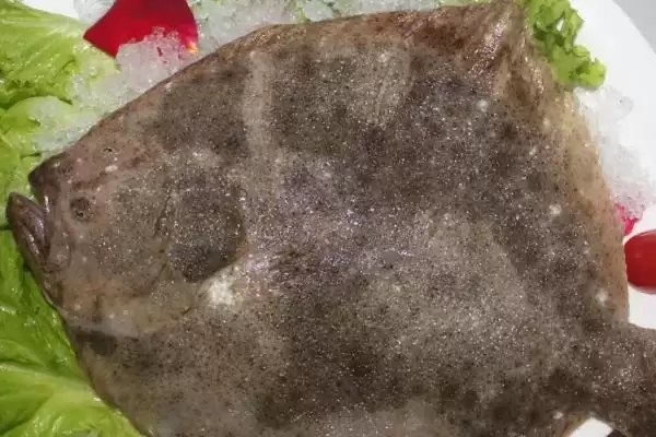 多宝鱼常见病害的防治，根据具体防治对象采取措施真的有效吗？有哪些成功案例？插图2