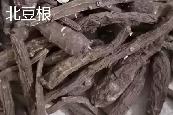 北豆根为什么一般3-4年就可以收获？生长过程是怎样的？插图2