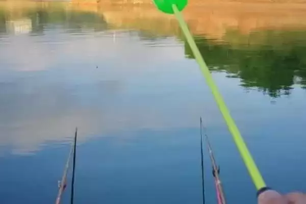 钓淡水鲳鱼首选荤饵,荤饵的哪些特点吸引了淡水鲳鱼?钓淡水鲳鱼还有哪些饵料选择?插图3 钓淡水鲳鱼首选荤饵,荤饵的哪些特点吸引了淡水鲳鱼?钓淡水鲳鱼还有哪些饵料选择?插图3