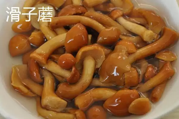 黑龙江牡丹江市的响水大米驰名中外,是什么造就了它的高品质?插图7 黑龙江牡丹江市的响水大米驰名中外,是什么造就了它的高品质?插图7