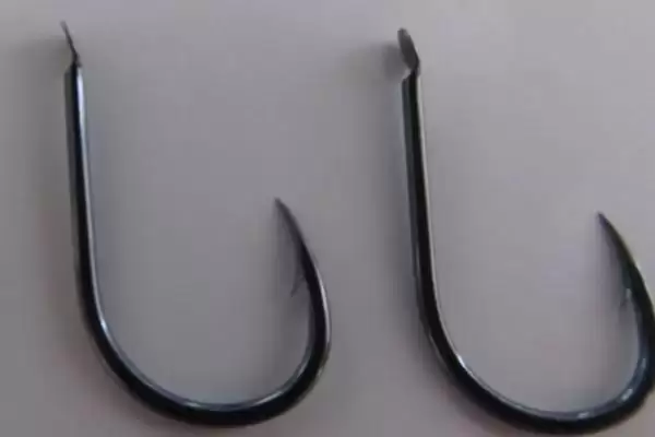夏季为何全天均可钓鲢鳙？钓鲢鳙的适宜时间还受哪些因素影响？插图5
