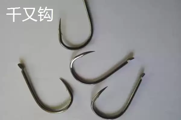 伊势尼钩、千又钩、小矶钩钓鲢鱼各有什么优势？如何根据实际情况选择？插图2