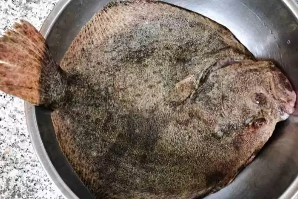 多宝鱼常见病害的防治，根据具体防治对象采取措施真的有效吗？有哪些成功案例？插图1
