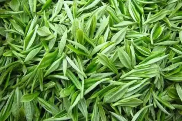 婺源绿茶价格一斤最低多少钱？插图2