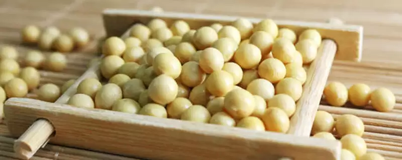 塔豆98号大豆品种作为普通品种特性？-会东网