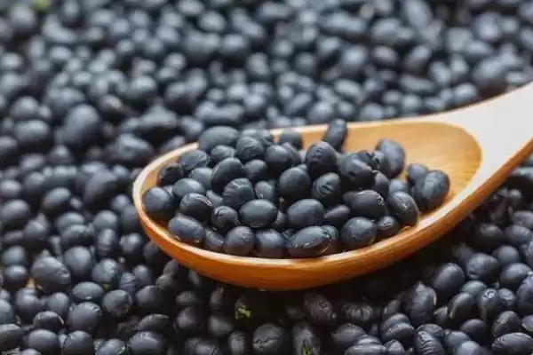 黑豆有苦味是因含生物碱的原因？插图3
