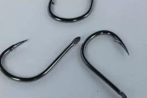 伊豆和伊势尼钩条粗细有何区别？插图3