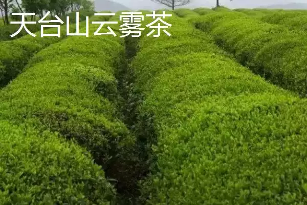 浙江省诸暨市有何特产同山烧？插图9