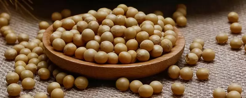 通豆12大豆品种密度如何增加？-会东网