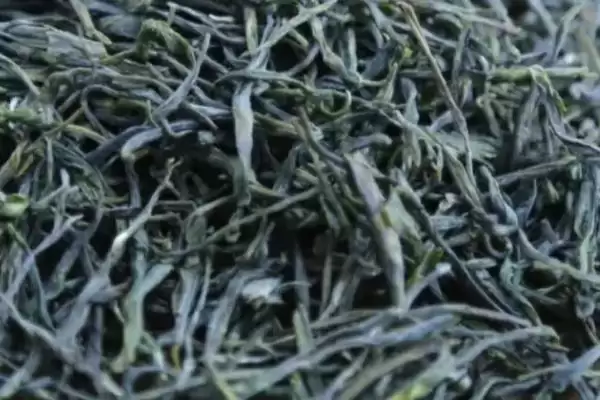 婺源绿茶价格一斤最低多少钱？插图1