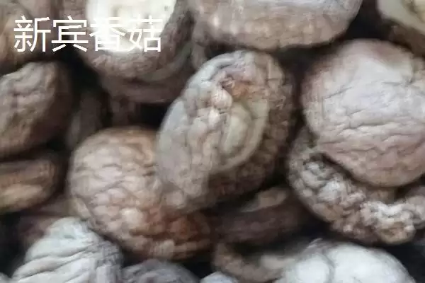 辽宁新宾满族自治县有何特产及农产品标志？插图4